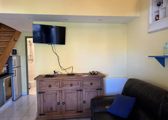 Holidayland 217 T2 6 Couchages Climatise 公寓 纳博讷普拉日